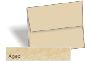 Wausau Astroparch Envelopes