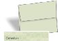 Wausau Astroparch Envelopes