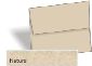 Wausau Astroparch Envelopes